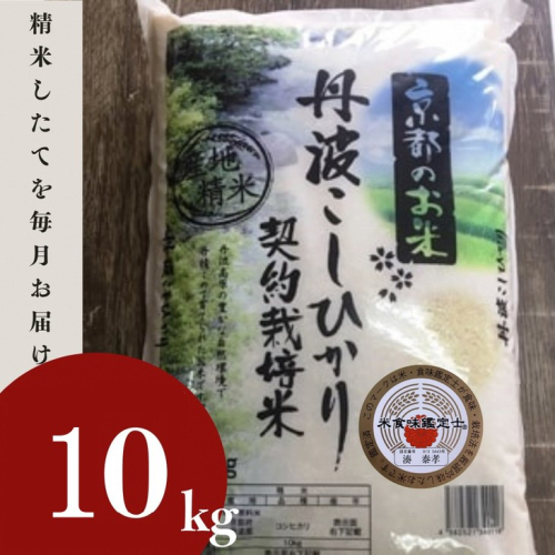 【9月より新米】米 京都丹波米 こしひかり10kg◇◆◇ 米 白米 ※精米したてをお届け コシヒカリ