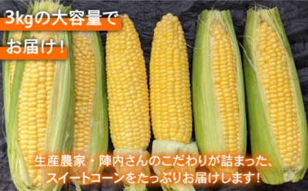 【先行予約】農家直送！こだわりスイートコーン 約3kg（8～12本程度）【玉葱農家 陣内ちひろ】[IAO014]