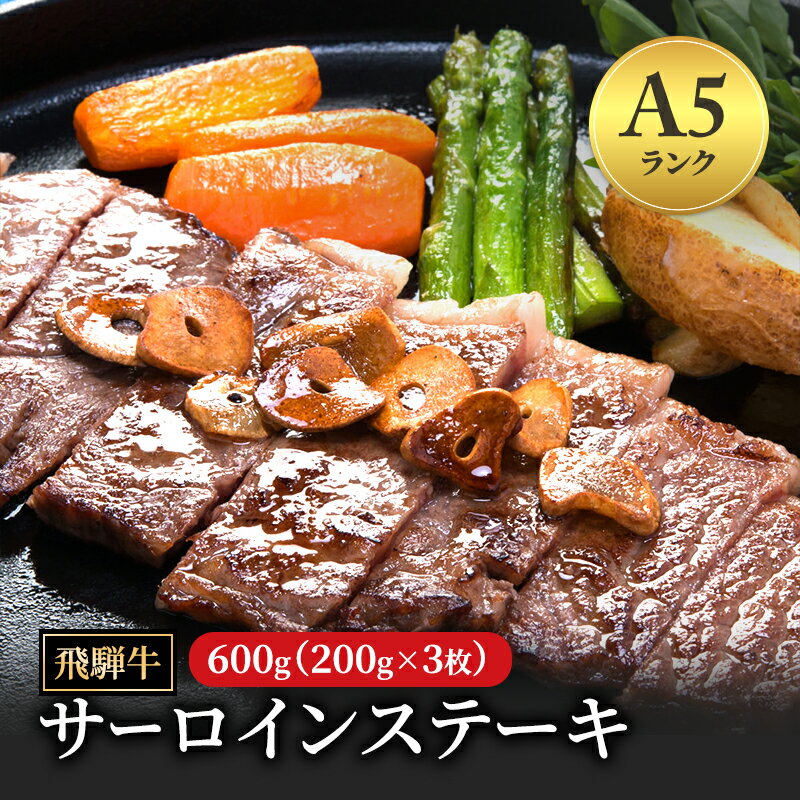 【ふるさと納税】飛騨牛 牛肉 肉 ステーキ サーロイン 600g 200g×3枚 ｜A5 ステーキ 飛騨牛 肉 牛肉 和牛 国産 赤身 牛 ブランド牛 お取り寄せ グルメ 人気 おすすめ オススメ 夜ご飯 晩ご飯 おかず お祝い お中元 お歳暮 ギフト 【岐阜県瑞穂市】