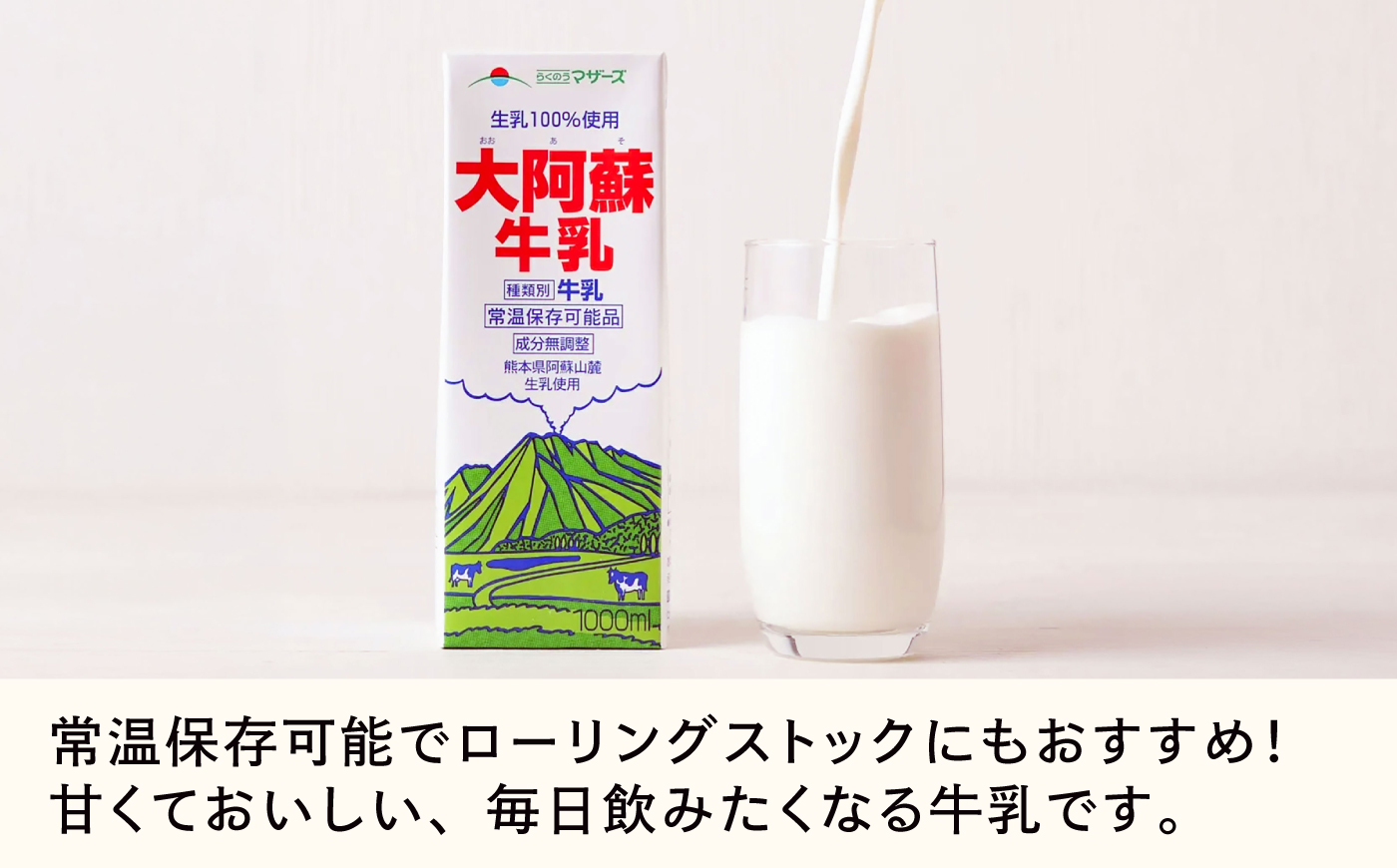 【全12回定期便】大阿蘇 牛乳 1000ml 紙パック 6本入【合同会社 たべたせいか】 [BHBY026]