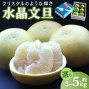 先行予約受付！高知県香南市産 水晶文旦 約5kg（5～8玉入り）- 送料無料 果物 くだもの フルーツ 柑橘 ブンタン ぶんたん みずみずしい デザート 期間限定 おすそ分け 贈答 高知県 香南市【常温】