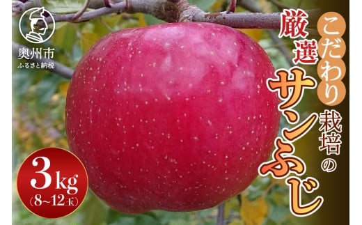 【スターファーム】 こだわり栽培の サンふじ 厳選品 3kg 岩手県奥州市産りんご 産地直送 フルーツ [AY004]
