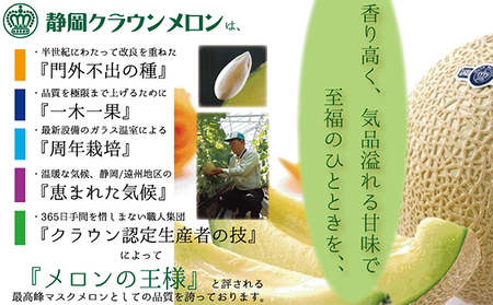 メロン 白中玉 1玉 マスクメロン フルーツ 果物 メロン
