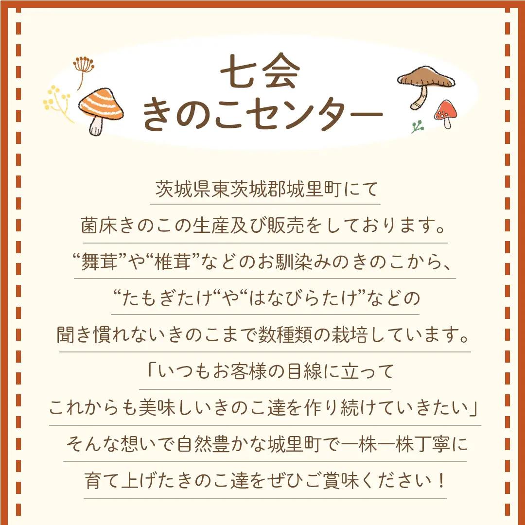 《 ３ヶ月 連続定期便 》 きのこ の 詰め合わせ Mサイズ 約1.5kg （茨城県共通返礼品 城里町） 定期便 キノコ 舞茸 あわび茸 たもぎ茸 しいたけ 花びら茸 セット 鍋 炒め物 [CX006