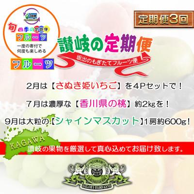 ふるさと納税 坂出市 【発送月固定定期便】創業100年の老舗が選んだ讃岐のフルーツの定期便【Cコース3回】全3回 |  | 02