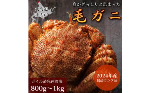 ＜ボイル済み急速冷凍＞身がパンパンに詰まった稚内産毛ガニ800g～1kg(超大サイズ)×1尾【1511903】