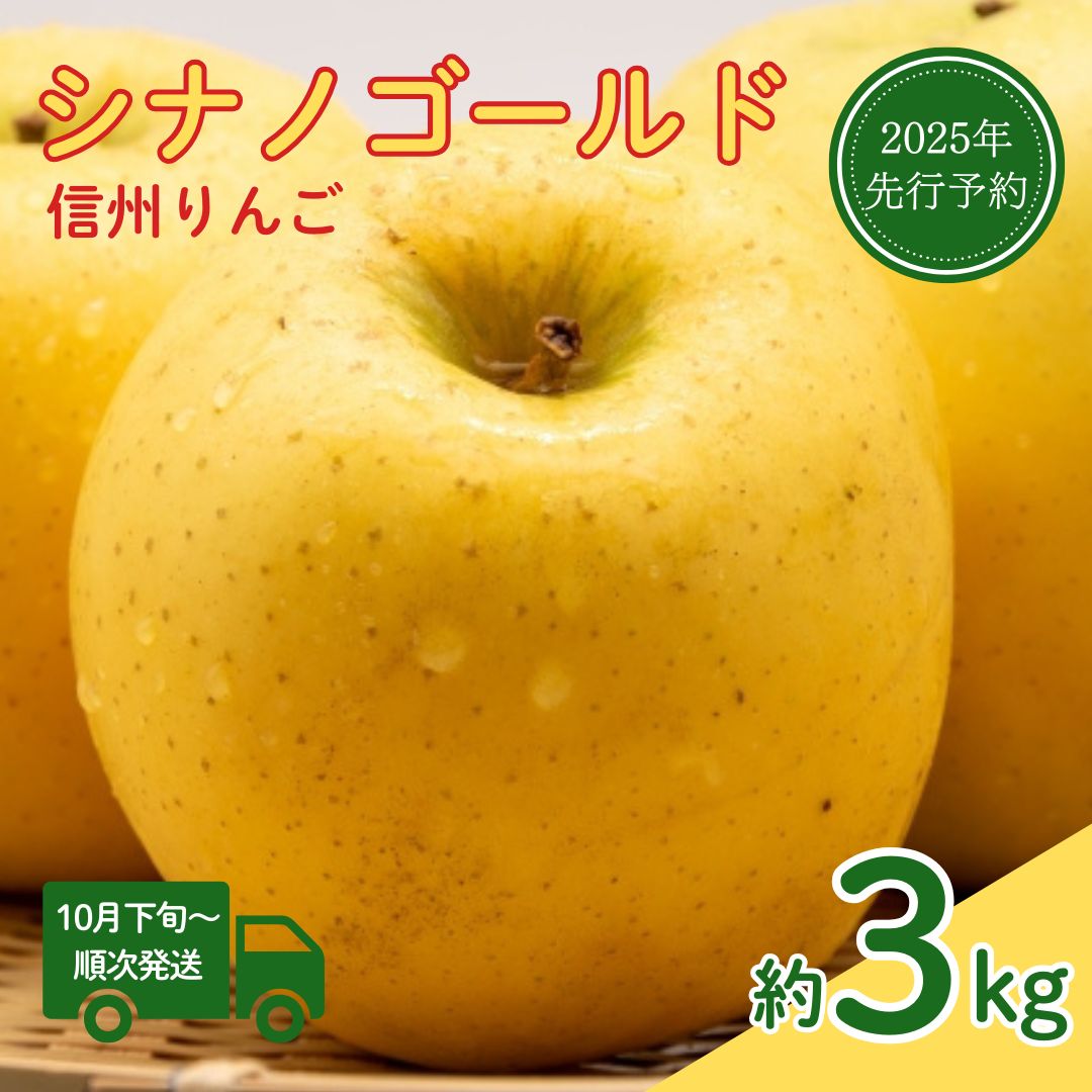 【ふるさと納税】【2025年先行予約】【10月下旬~発送予定】シナノゴールド 約3kg りんご 信州りんご 長野県 千曲市