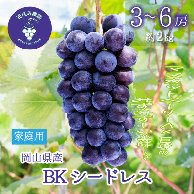 【ふるさと納税】【2026年先行予約】岡山　花笑み農園の『BKシードレス』家庭用　約2kg(3～6房)　B-2家_ BKシードレス ぶどう 種なし 家庭用 2kg フルーツ 果物 送料無料 岡山県 津山市 【配送不可地域：離島・北海道・沖縄県】【1626804】