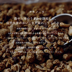 グラノーラ 2種セット 甘酒米粉 グラノーラ