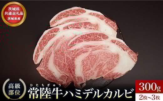 
            【茨城県共通返礼品】茨城県産 ハミデルカルビ300g | カルビ かるび カブリ 部位 ゲタ 中落カルビ リブ芯 リブ巻き 希少部位 高級部位 リブロース 牛肉 牛 大きい とろける 甘み はみでる 食卓 バーベキュー BBQ パーティー
          