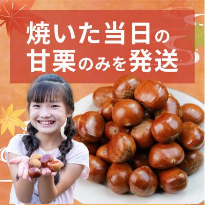 ふるさと納税 兵庫県 【先行予約】 天津甘栗 800g 【2025年10月下旬より順次発送予定】 |  | 02
