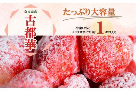 平群の古都華 冷凍いちご ミックスサイズ 1kg | フルーツ 果物 くだもの いちご 苺 イチゴ 古都華 ことか 冷凍 ミックス スムージー  奈良県 平群町 扇田農園