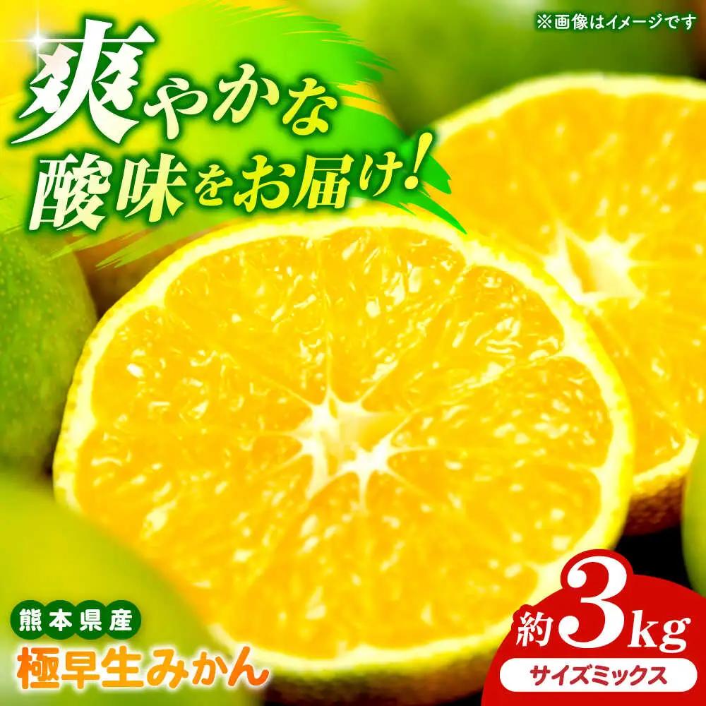 【先行予約】 極早生みかん 2S-2L 約3kg みかん 蜜柑 柑橘 フルーツ 果物 【日本フルーツ株式会社】[ZFJ053]