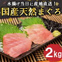 【ふるさと納税】 マグロ 2kg 国産 天然 鮪 刺身 炙り ネギトロ 漬け ステーキ 用 大容量 ブロック 産地直送 高知 須崎