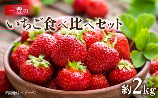 M02-0030_【ふるさと納税】【配送不可地域：北海道・沖縄県・離島】 いちご 食べ比べ セット 女峰いちご さぬきひめ 各 250g 4パック 計 約 2kg 2月上旬より順次発送 甘み 酸味 香