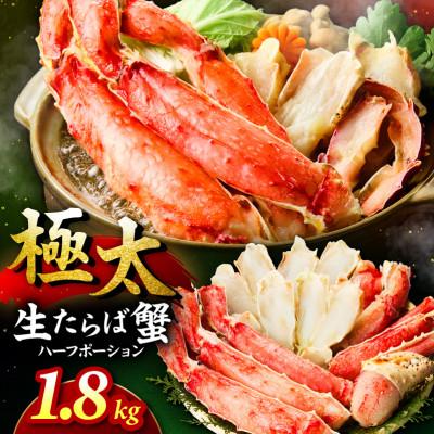 ふるさと納税 泉南市 □【生食ok!!極太サイズ】生たらば蟹 ハーフポーション 約1.8kg ふるさと納税3.0
