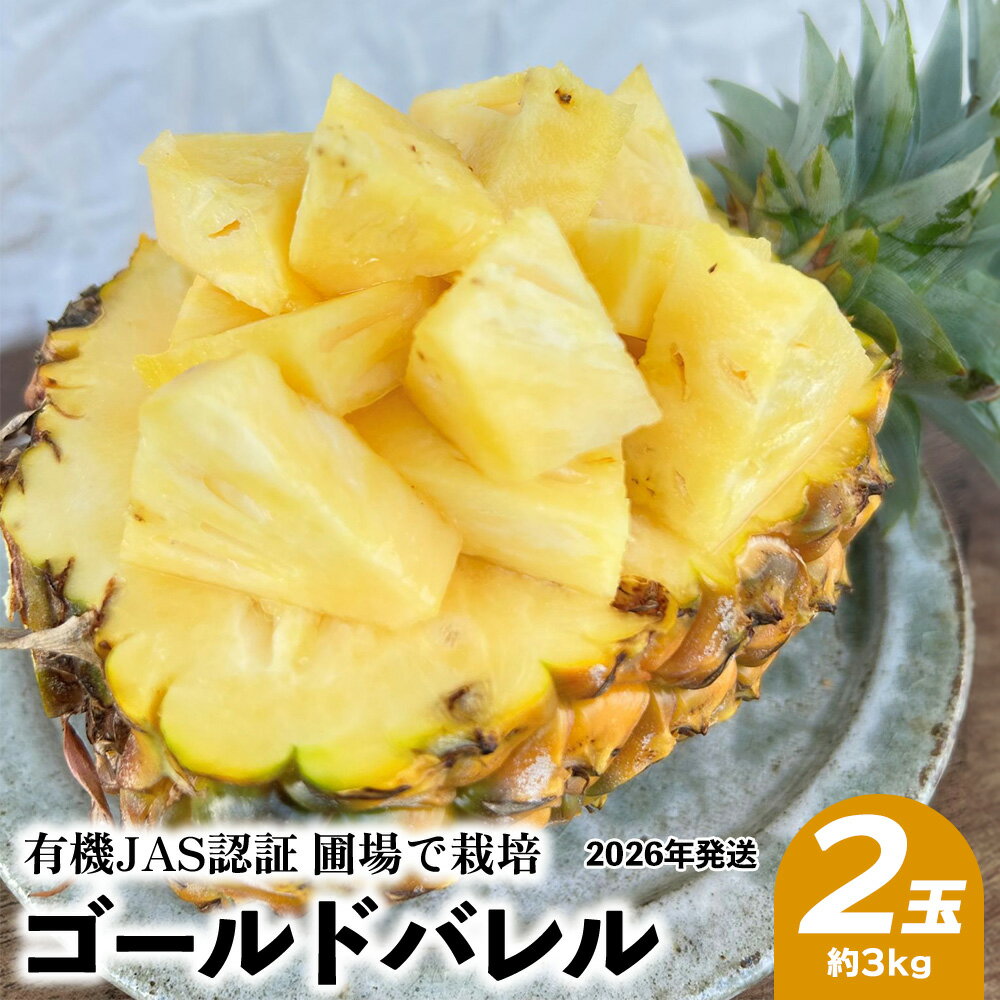 【ふるさと納税】有機JAS認証圃場で栽培　ゴールドバレル　2玉（約3kg） 2026年発送 沖縄県産 東村 パイナップル ジューシー 希少 高級フルーツ 南国フルーツ 国産フルーツ 農家直送 パイン 果物 贈り物 おすすめ お土産 人気 やんばる 大自然 南国気分 沖縄本島北部