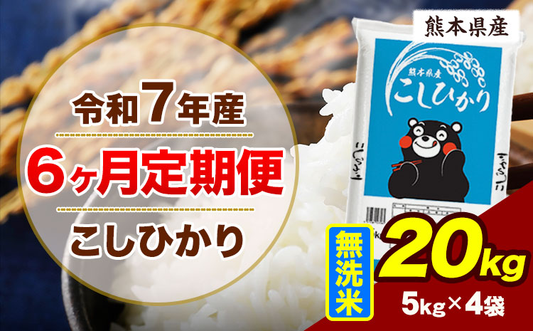 【6ヶ月定期便】令和7年産 定期便 こしひかり 20kg  無洗米 阿蘇 うぶやま 米 定期便 熊本県産 ふるさと納税 精米 ひの 米 こめ ふるさとのうぜい コシヒカリ コメ お米 おこめ《お申込み翌月から出荷》