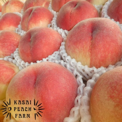 厳選朝採り桃 山梨の笠井桃園の桃 約2kg【配送不可地域：離島】