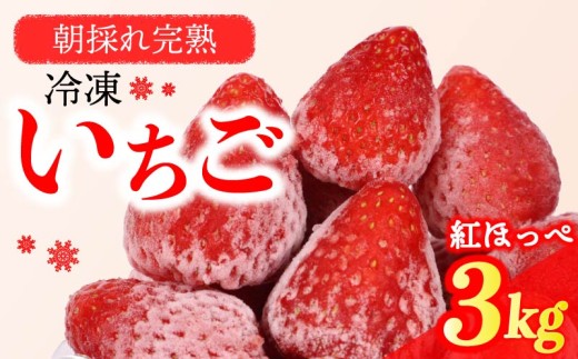 【 冷凍 いちご 】 苺 3kg 1kg×3 完熟 紅ほっぺ ヘタ取り いちご 静岡 限定 苺 冷凍いちご イチゴ 果物 スイーツ いちご 紅ほっぺ 冷凍イチゴ 牧之原市 デザート フルーツ スイーツ アイス ジャム シャーベット かき氷 イチゴ ベリー ストロベリー 氷菓 冷凍 甘い オススメ いちご ギフト 贈答 プレゼント 人気 3袋 便利 いちご 紅ほっぺ べにほっぺ 牧之原市 森木農園