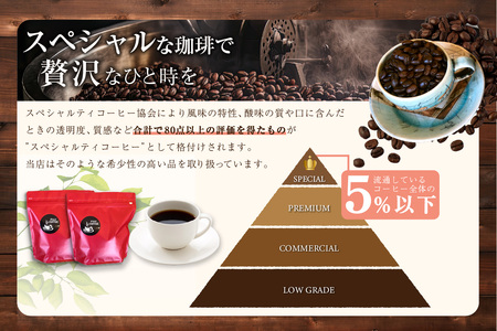 【スペシャリティ珈琲豆】タイ・ブルームーン+Plusブレンド珈琲 コーヒー コーヒー豆 飲料 飲み物 ドリンク ブレンド 焙煎 自家焙煎 飲み比べ セット 味わい 愛知県 知多市 特産品