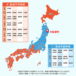 大船渡産 冷蔵 活 殻付きホヤ 10個 産地直送 