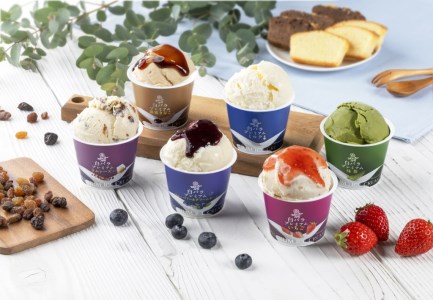 MS-128　大山乳業のアイスクリーム詰め合わせ（6種類・12個入り）