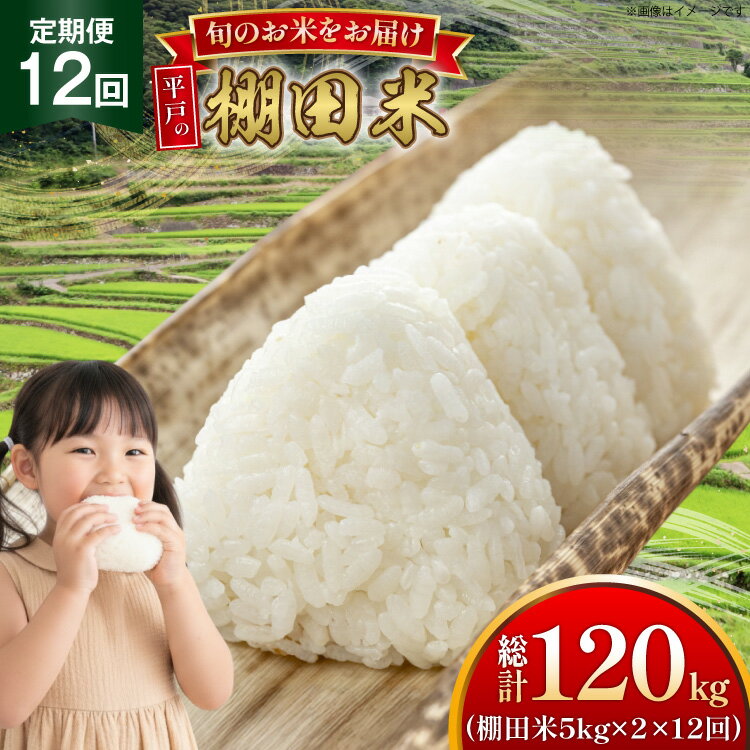 【ふるさと納税】米 令和7年 棚田米 5kg 2袋 計 10kg 12回 定期便 総計120kg [ひらど新鮮市場 長崎県 平戸市 hr42bgy400177] 令和7年産 コメ こめ ごはん ご飯 こしひかり ひのひかり にこまる