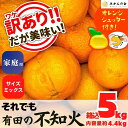 【ふるさと納税】不知火 訳あり それでも 有田の不知火 箱込 5kg(内容量約 4.4kg) サイズミックス 和歌山県産 産地直送 【みかんの会】 | みかん ミカン 甘い フルーツ ジューシー 産地直送 和歌山 送料無料 果物 わかやま 本場 ふるさと 応援 寄付 先行予約 期間限定 返礼品