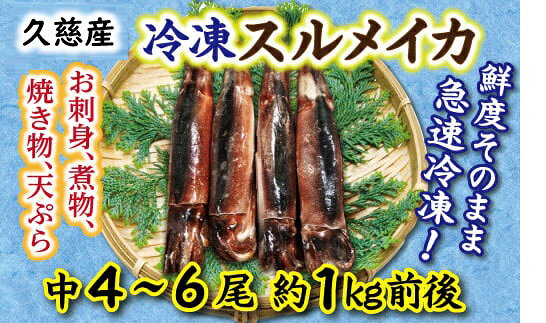 【ふるさと納税】【久慈港水揚げ】冷凍スルメイカ中4～6本（約1kg前後）