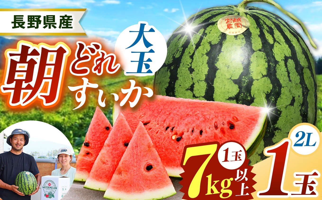 
            【先行受付】松本市　波田産　すいか　2L（7kg～8kg)│ 信州 松本市 長野県 西瓜 すいか 果物 スイカ フルーツ くだもの 新鮮 果汁 ジューシー 大きい ふるーつ
          