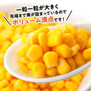 【令和7年発送】宮崎県産とうもろこし　スイートコーン「ゴールドラッシュ」3L×3本【新鮮 農家直送 トウモロコシ 産地直送 季節限定 期間限定 宮崎県産 九州産】