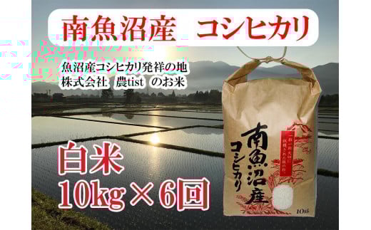 【令和7年産】【定期便 南魚沼産】コシヒカリ 白米10kg×6回【2025年9月中旬より順次発送予定】