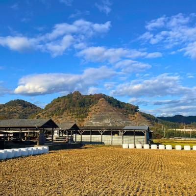 ふるさと納税 鹿沼市 犬幸膳　ドッグフード　一食分　A5ランク黒毛和牛使用　今季限定200食　2026年掲載開始 |  | 02