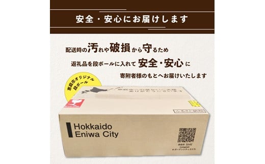 『定期便：全4回』ヱビスビール500ml×24本【300039】_イメージ2