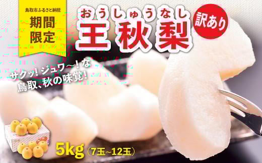 
                  訳あり 王秋梨 5kg【やぶやフルーツガーデン】
                