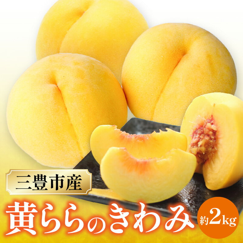 【ふるさと納税】数量限定！先行予約販売開始★ 神田農園の産地直送 桃「黄ららのきわみ」約2kg [ フルーツ 名産品 桃 もも モモ 黄桃 果物 くだもの 三豊市 15000 15,000円 返礼品 神田桃園 ] ※配送不可地域：北海道・沖縄県・離島