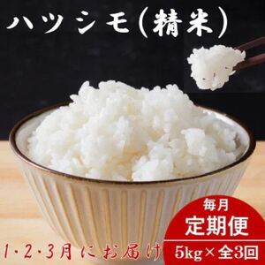 【発送月固定定期便】生産者応援!岐阜県産ハツシモ(精米)5kg【1・2・3月発送】全3回【配送不可地域：離島】【4075500】