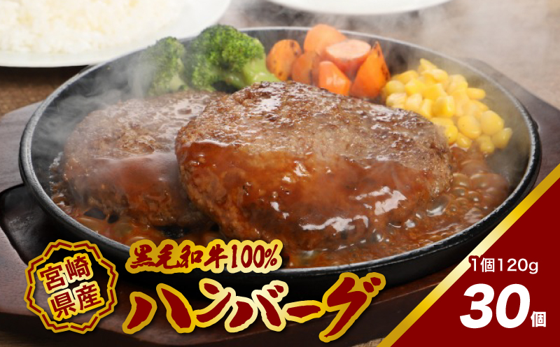宮崎県産黒毛和牛100%ハンバーグ120ｇ×30個 K16_0162
