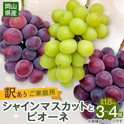 【2025年10月より発送】訳ありシャインマスカットとピオーネ詰合せ 3～4房 1.8kg ご家庭用