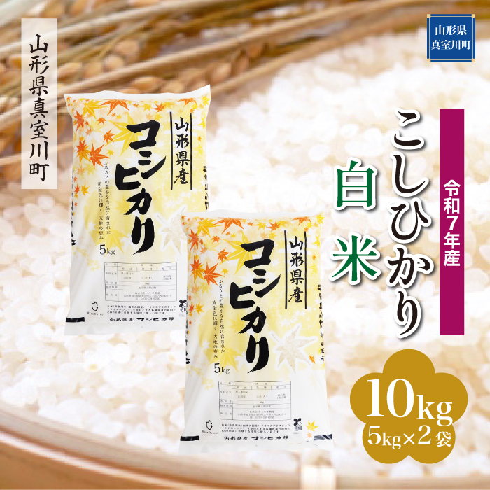 ＜令和7年産米＞ こしひかり 【白米】 10kg （5kg×2袋） 配送時期指定できます！ 山形県真室川町
