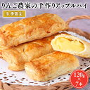 【ふるさと納税】りんご農家の手作りアップルパイ 120g×7本【そとかわ農園 青森りんご 平川市産】2～3月発送 青森 青森県産 平川 りんご リンゴ 林檎 アップルパイ パイ おやつ お菓子 フルーツ レビューキャンペーン