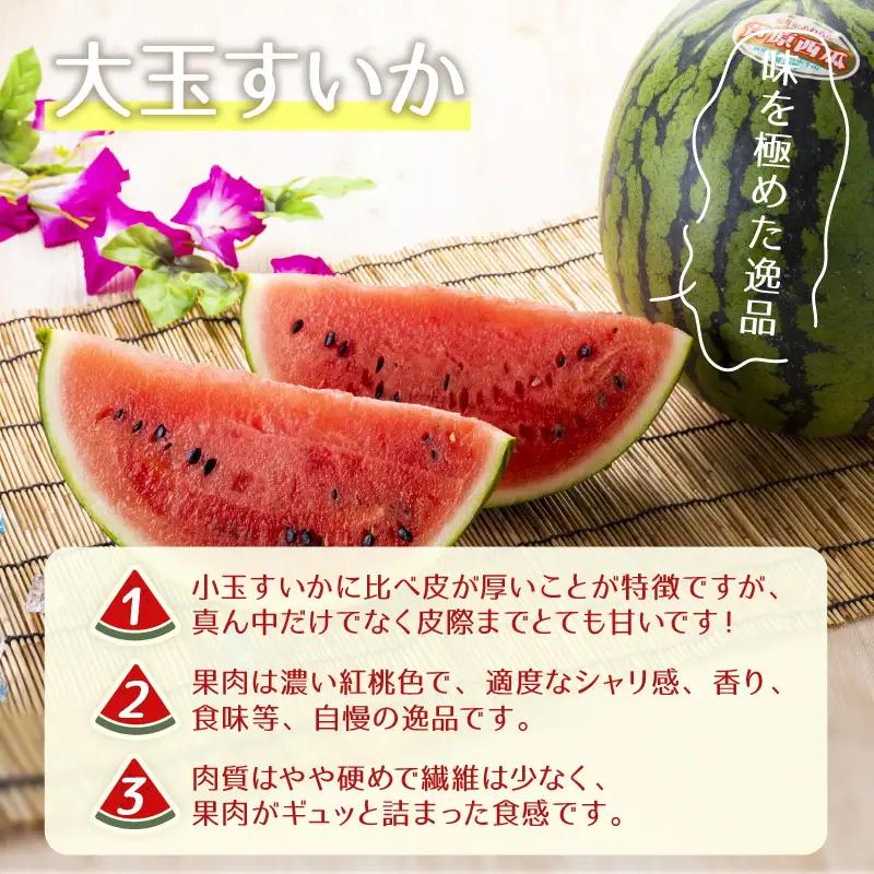 【先行予約】大玉スイカ（7kg以上 1玉入) 皮際まで甘い！シャリ感も抜群！／ あわら 果物 フルーツ すいか 人気 産地直送 ※2027年6月中旬より順次発送 [aw039-a024]