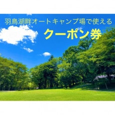 羽鳥湖畔オートキャンプ場で使えるクーポン券　3,000円分