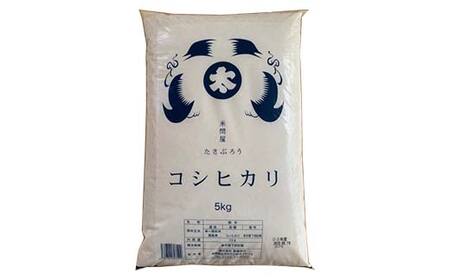 ＜定期便＞白河市産コシヒカリ精米5kg×3ヶ月連続 米 お米 コメ ごはん ご飯 食品 F25R-012