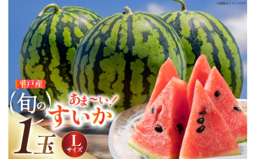 スイカ 大玉 平戸産スイカ 1玉 Lサイズ 6kg ~ 7kg [ひらど新鮮市場 長崎県 平戸市 hr42bgy400084] すいか 西瓜 果物 フルーツ 水分補給 くだもの 甘い 大玉スイカ 夏