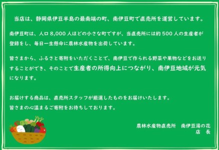 【先行予約】湯の花　伊豆の香りニューサマーオレンジ　10kg箱セット　　　柑橘 甘夏 みかん 柑橘 甘夏 みかん 柑橘 甘夏 みかん 柑橘 甘夏 みかん 柑橘 甘夏 みかん 柑橘 甘夏 みかん 柑橘 