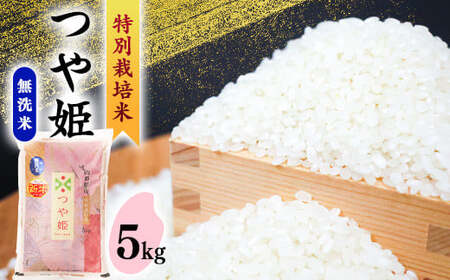 【2026年12月発送】《先行予約》令和8年産 新米 《特別栽培米》 つや姫【無洗米】 5kg 山形県産 ブランド米 農家直送 5キロ　017-C-SR003-202612