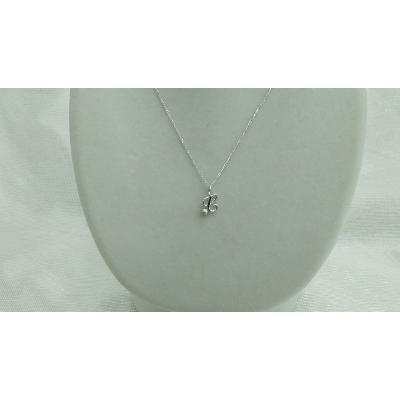 ふるさと納税 鳥羽市 伊勢志摩あこや本真珠ペンダントイニシャル(C)SV製 J-96C |  | 01