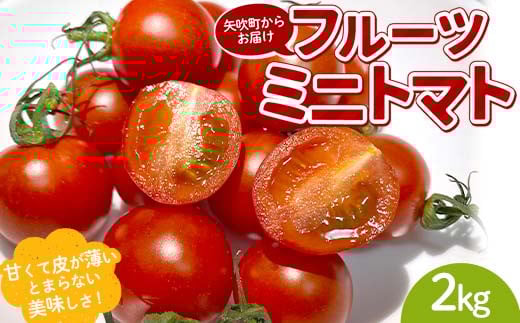
            プチっと甘みがはじける！とにかく美味しい フルーツミニトマト 2kg（1kg×2） おやつやビールのおつまみにも！ F6U-169
          